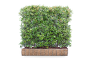 MOBILANE GREEN SCREEN 120CM X 155CM