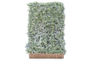 MOBILANE GREEN SCREEN 120CM X 180CM