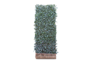 MOBILANE GREEN SCREEN 120CM X 300CM